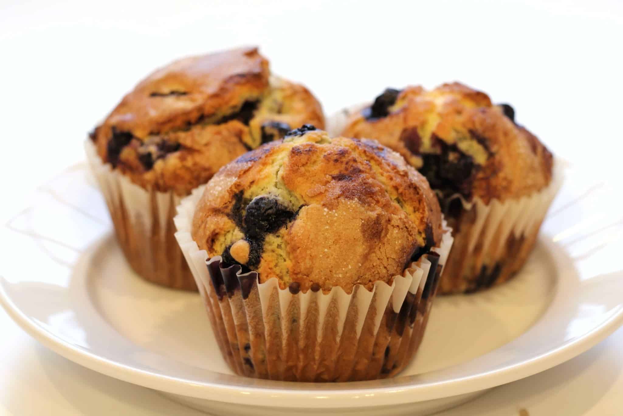 Muffins protéinés : recette simple et gourmande à la whey protéine