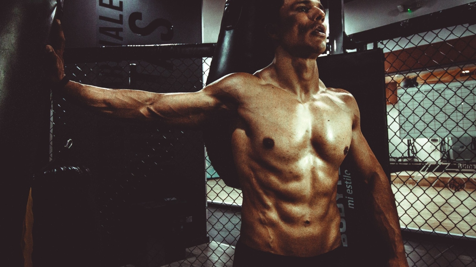 Boxe entraînement muscles