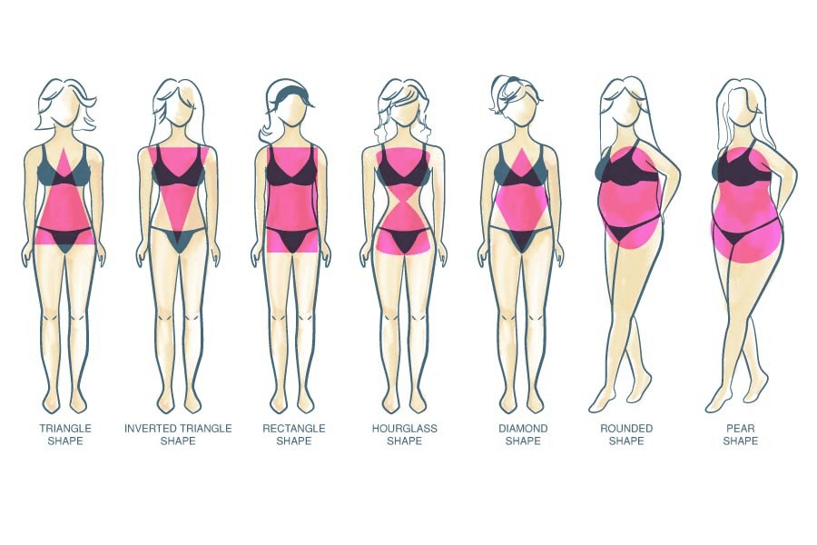 Illustration de différentes silhouettes féminines pour comprendre la morphologie et adapter la nutrition sportive de Protéalpes.