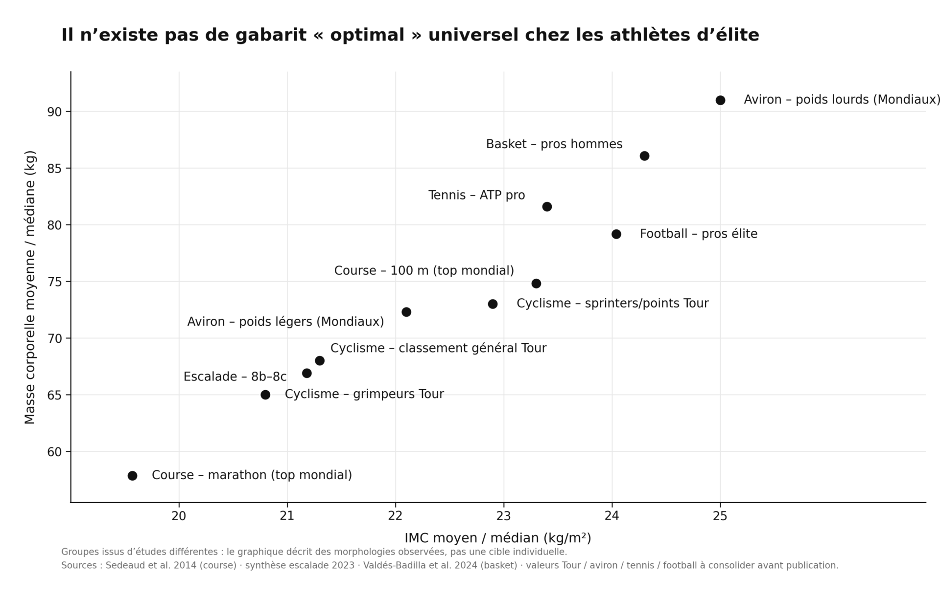 Grafik, die die Vielfalt der Körperformen bei Spitzensportlern veranschaulicht. Jede Sportart hat ihre ganz eigenen Anforderungen.